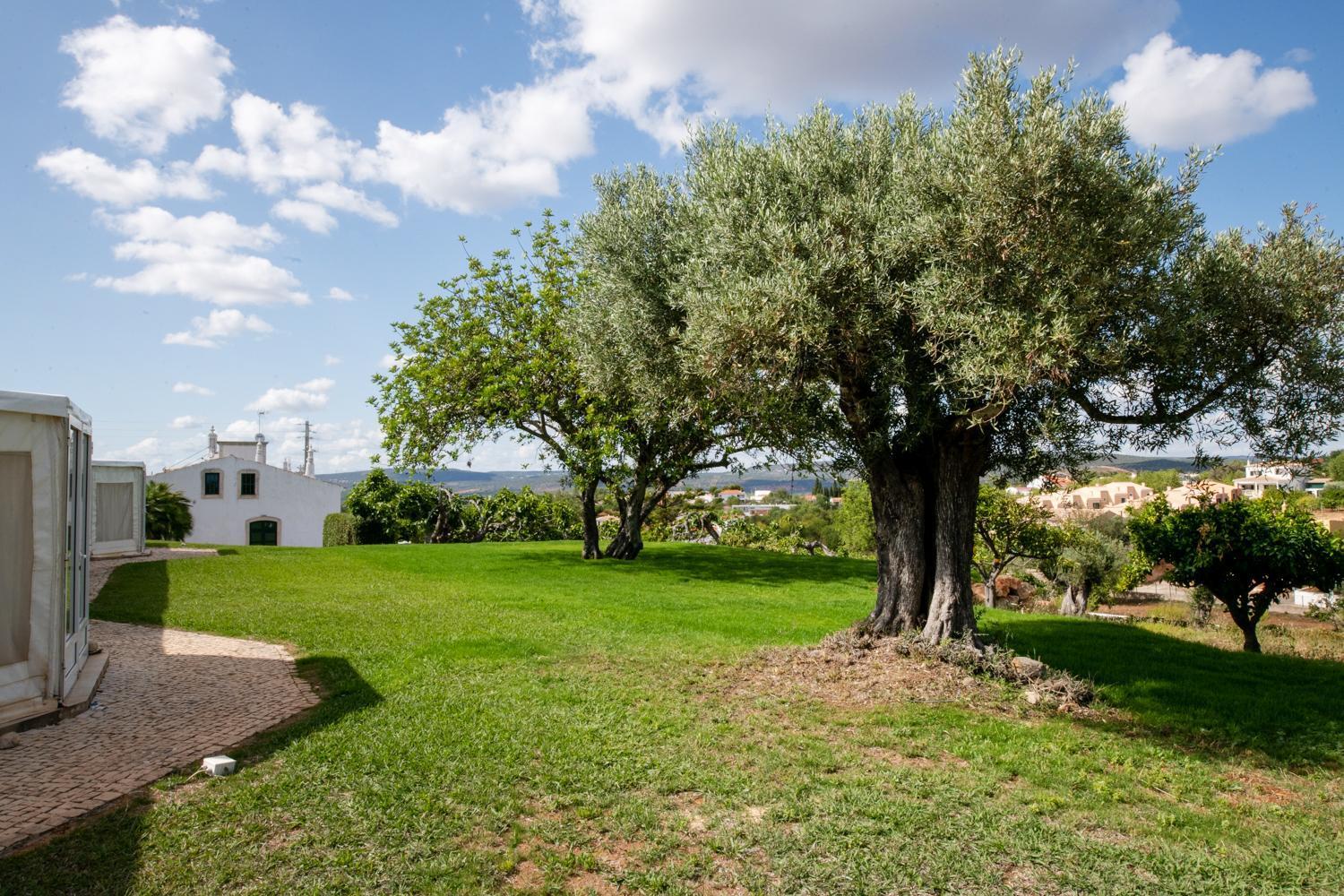 Cerca Velha - Country House Albufeira Exteriör bild